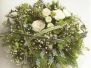 Posy Pads 